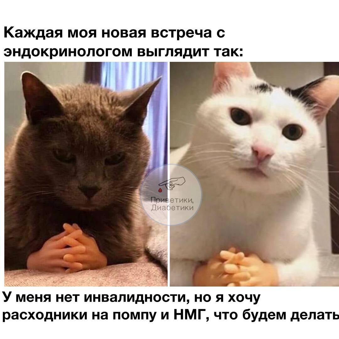 Проголосовать за канал .